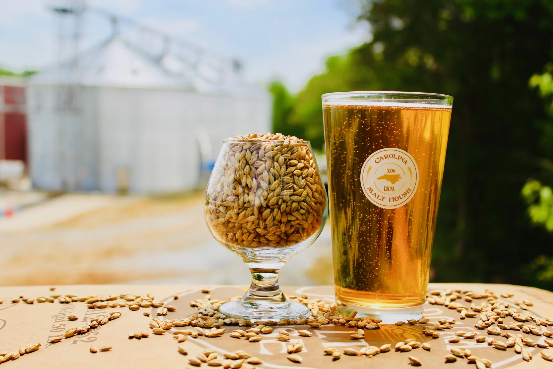 Carolina Malt House malt and a golden beer outside the malt house